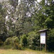 Bosco didattico, oggi aperto