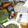 Sequestrata serra di marijuana in un appartamento: arrestato edicolante