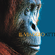 Viaggio attraverso le immagini