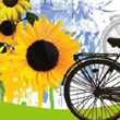 Ecologia: domenica tutti in bici