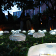 San Domenico: 'Ice-Eyes Garden'