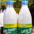 Prezzo del latte, sfuma l'intesa