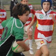 Under 14, rullo compressore