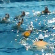 Crema vince il derby