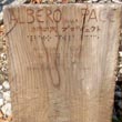 Odissea, domenica doppia