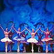 Danzando in Arena