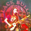 Black Bulldog: Domine live