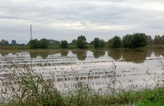 I raccolti fermi e le semine d’autunno bloccate